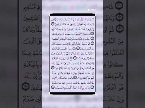 القران الكريم بصوت جميل يريح البال ويذهب الحزن سورة النحل استمع 🎧👂 ولاجر لي ولك انشاالله