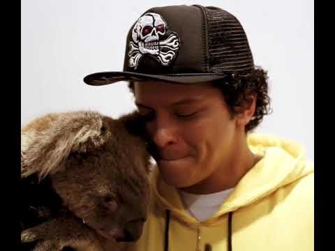 Bruno Mars & Koala In Australia xd