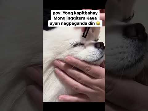 POV: INGGITERA MONG KAPITBAHAY GUSTO DIN MAGPASALON