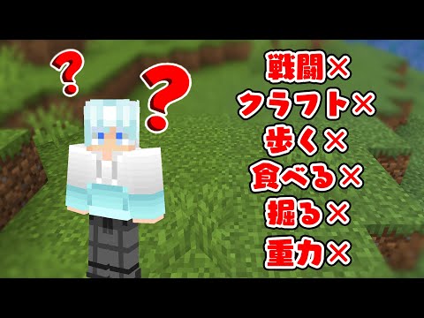 "クリア不可能"な世界【マイクラ】