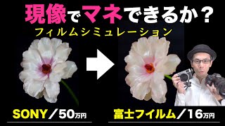 【16万円 VS 50万円】SONYも富士フイルムみたく現像できるか実験【X100V 対 α7RⅣ】#フィルムシミュレーション