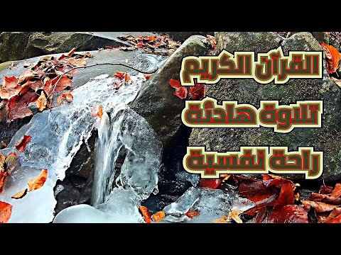 القرآن الكريم | سورة يس