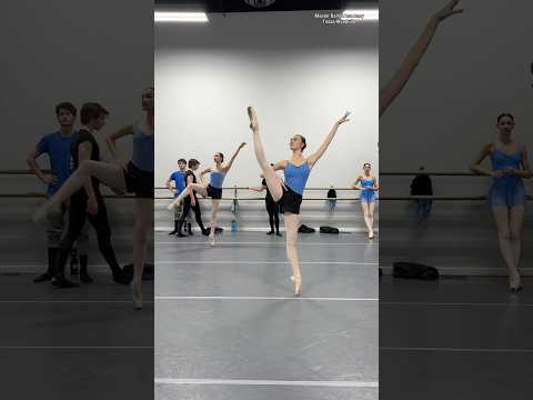 GUESS THE VARIATION 🧐✨ #dancer #ballet #balletdancer #classicaldance #ballerina