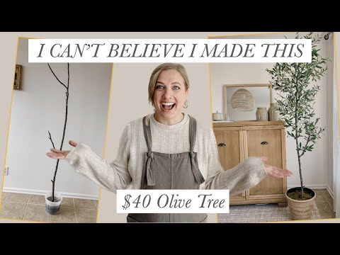 DIY $40 OLIVE TREE - EASY & AFFORDABLE