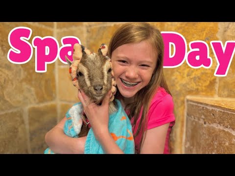 FARM ANIMALS get a SPA DAY?!