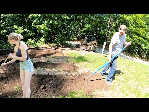 Replanting Our DEAD Lawn! - FULL PROCESS & RESULTS