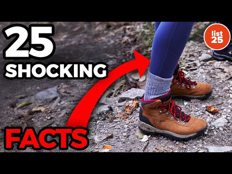 25 Shocking Facts That Will Make You Say 'What!