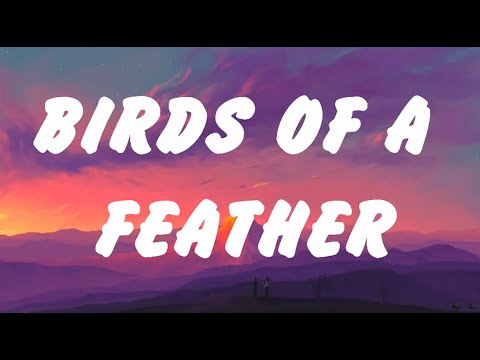 Billie Eilish - BIRDS OF A FEATHER (Lyrics) Sia, Billie Eilish,Taylor Swift