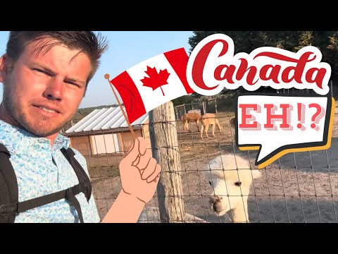 Canada Vlog EH?!?