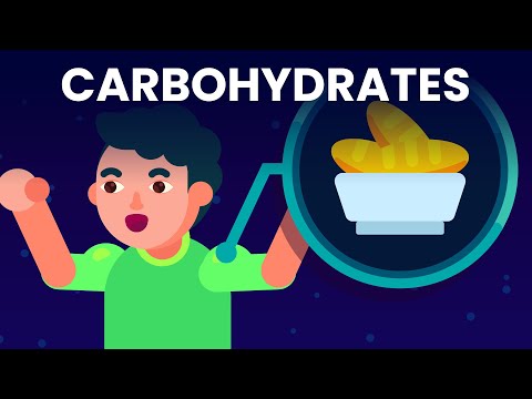 How Well Do You Know Carbohydrates?