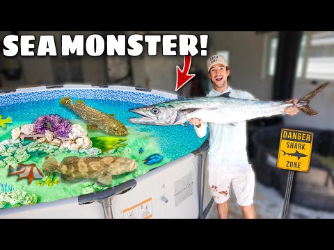 Catching SEA MONSTER To Feed My SALTWATER POND!