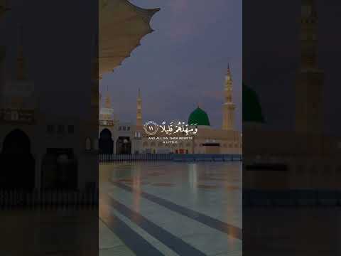 Surah Muzzammil #youtubeshorts #quran #viralvideo #surahmuzzammil