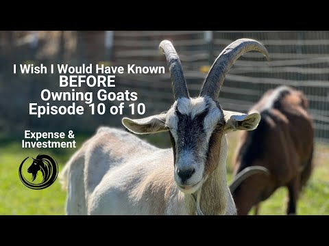 What I Wish I Would of Known Before Owning Goats Episode 10 of 10