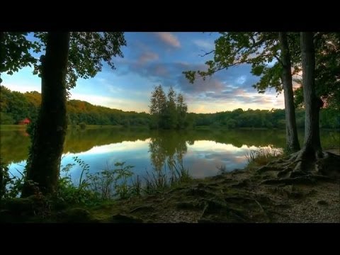 beautiful Quran Recitation by idris abkar - unbelievable voice i have never heard before