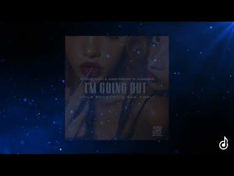 Steve Aoki, Sam Feldt, XANDRA - I'm Going Out (With Nile Rodgers & Zak Abel) (Acapella)