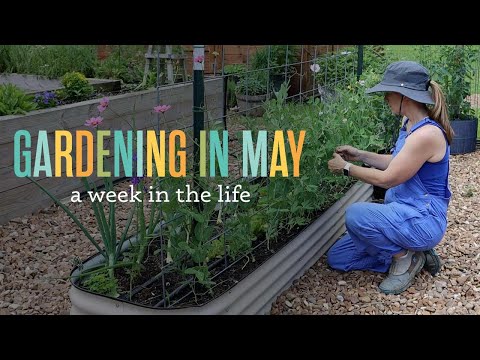 What I'm Doing in Early May + My Main Strategy for Getting Tasks Done in the Garden