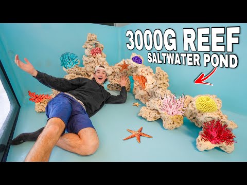 We Built a Giant REEF Inside Our SALTWATER POND!