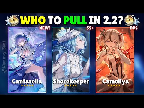 Who’s Worth Your Pulls in 2.2? Must-Pull or Skip? | Wuthering Waves Guide