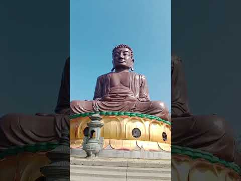 Buddha statue#shortvideo