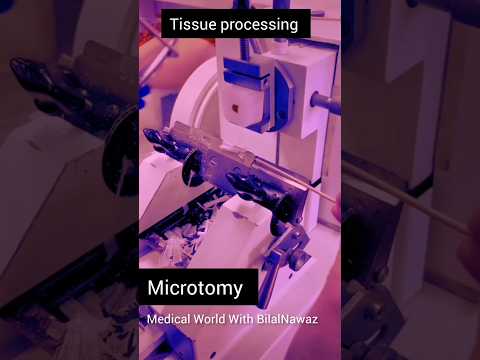 Tissue processing