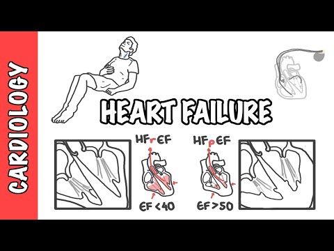 Heart failure with reduced and preserved ejection fraction, pathophysiology and treatment