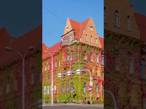 Fall in Wroclaw, Poland: 60 Days of Beauty #shorts