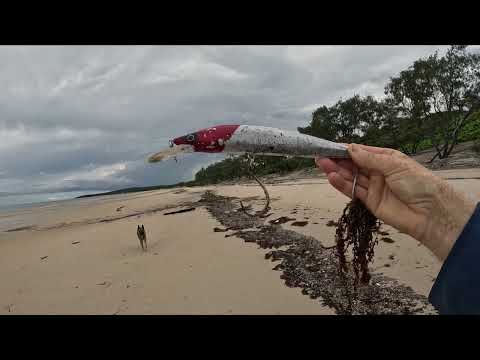 BEACHCOMBING LONG WAY FROM HOME!!!