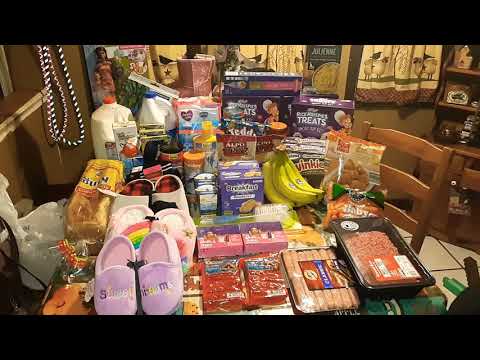 MY Walmart | Dollar Tree | Aldi HAUL