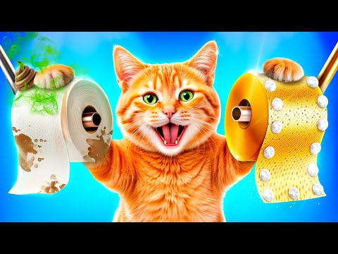 Rich Cat vs Broke Cat! DIY Hacks and Gadgets!