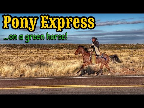 HUGE barrel race with 1400+ entries!! | PONY EXPRESS ride w/ Henson and PLUM!