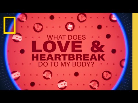 Is Love Really A Drug? | What Does Love & Heartbreak Do To My Body | National Geographic