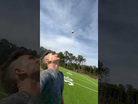 Fetch with the Fellas 👄 🐶 #sports #funny #football #trickshot #catch #football