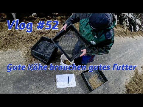 Farm-Vlog #52 Gute Kühe brauchen gutes Futter