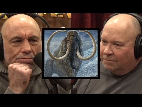 Boneyard Alaska's John Reeves Thinks We Domesticated Woolly Mammoths | JRE