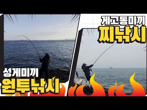 제주도 돌돔낚시!!!! 원투낚시&찌낚시로 돌돔잡아보자