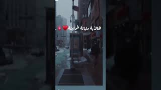 الآية التي تبث في النفس الطمأنينة والسكينة والراحة 💜