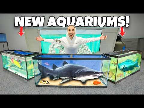 Buying TONS Of SALTWATER AQUARIUMS For Our FISH WAREHOUSE!