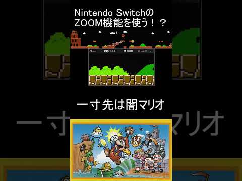 6-1 一寸先は闇マリオ Nintendo SwitchのZOOM機能を使う！？ ZOOM MARIO