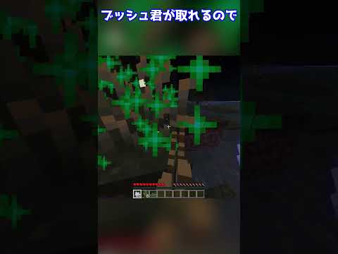 【最新情報】マイクラにホタルが実装！？ #マイクラ #ゆっくり #minecraft #ゆっくり解説 #ゆっくり実況