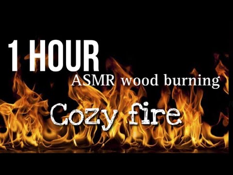 ASMR fire | 1 Hour