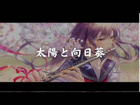 一首好聽的日語歌《太陽と向日葵》FLOWER【中日字幕】