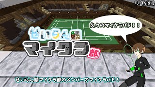 【マイクラ】#せいらん鯖マイクラ部 の方たちとマイクラバドする！【#マイクラバド】