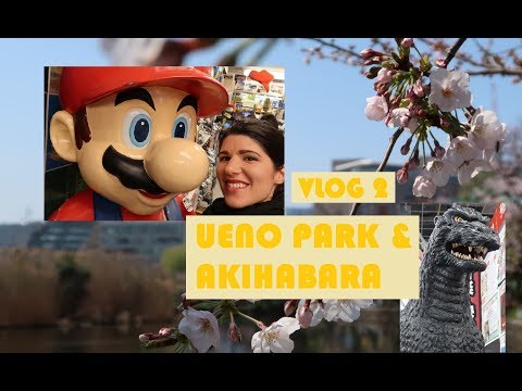 Tokyo, Japan - Ueno Park & Akihabara