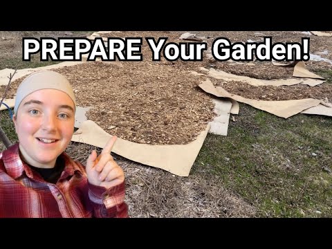 Get Your Garden READY for Spring After the Last Frost!