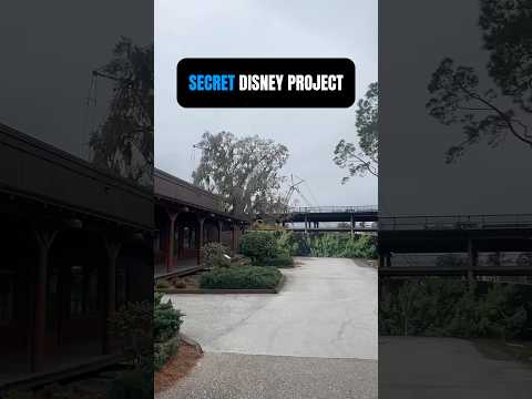 Disney Denies This Is Real – New Disney World Resort Construction!