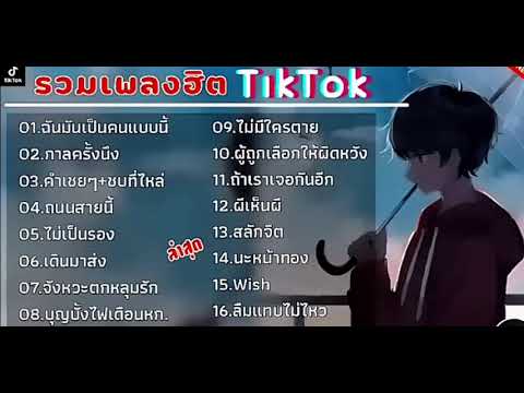 รวมเพลงฮิต TIKTOK เพราะๆฟังเพลินๆ