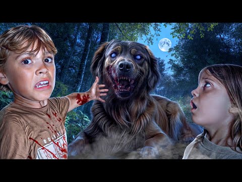 You WON'T believe how we FOUND our dog! *SCARY*