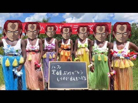 【ワンピース】謎のシャンクス集団からルフィへのお祝い動画【声真似】