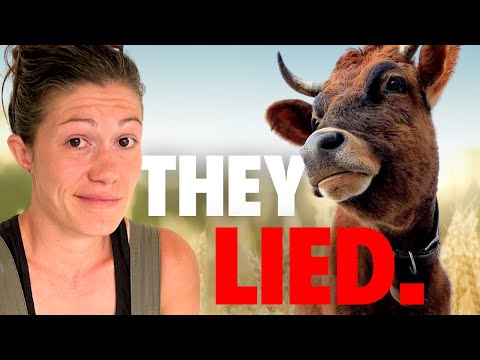 What They Don't Tell You About Dairy Cows