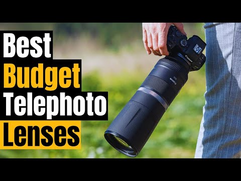 Top 5 BUDGET Telephoto Lenses for Wildlife Photography in 2025! Capture Amazing Wildlife Photos